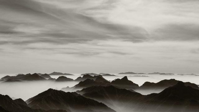 Black & White Essentials LUTs