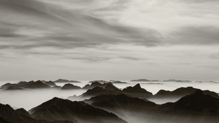 Black & White Essentials LUTs