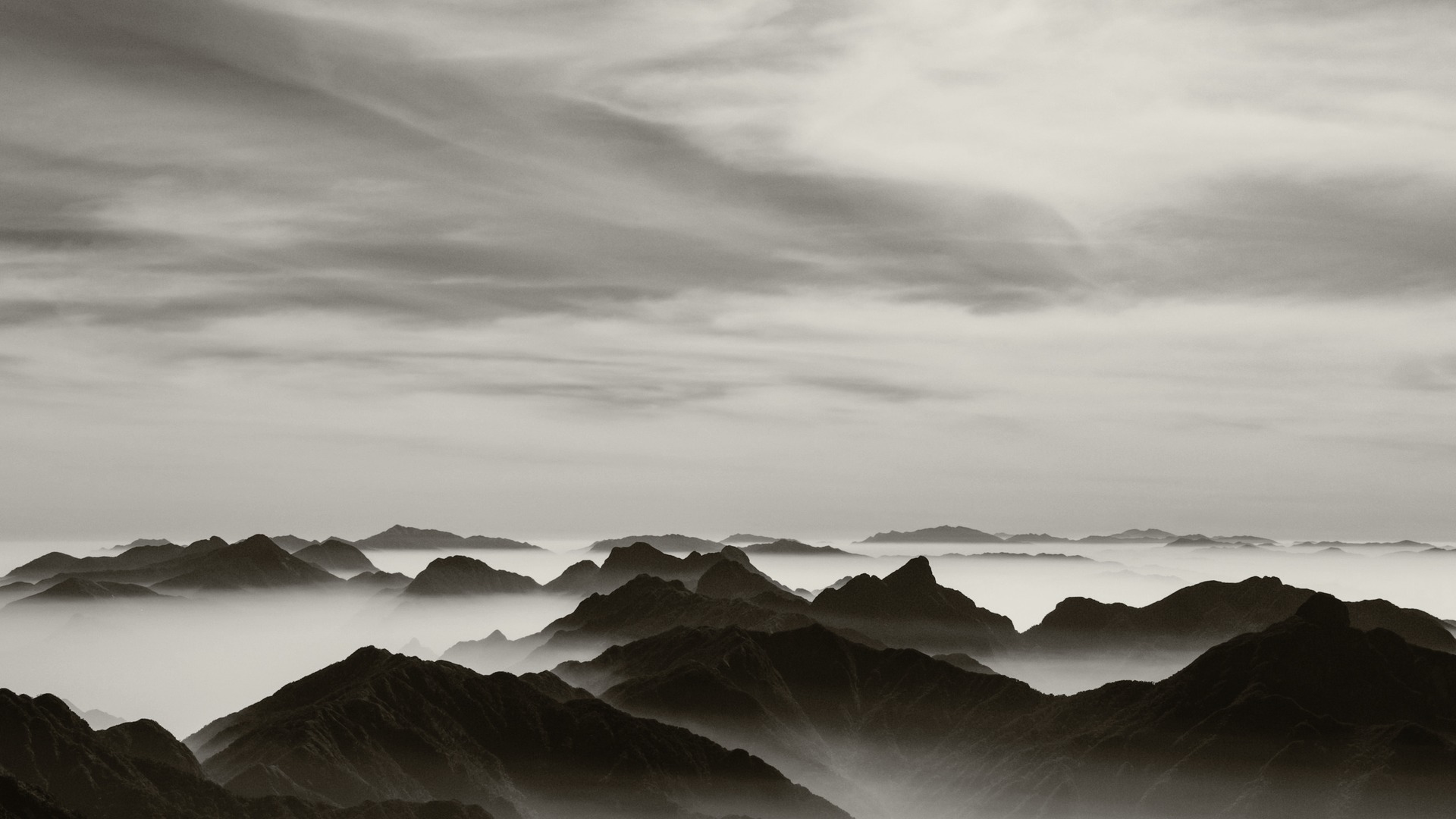 Black & White Essentials LUTs