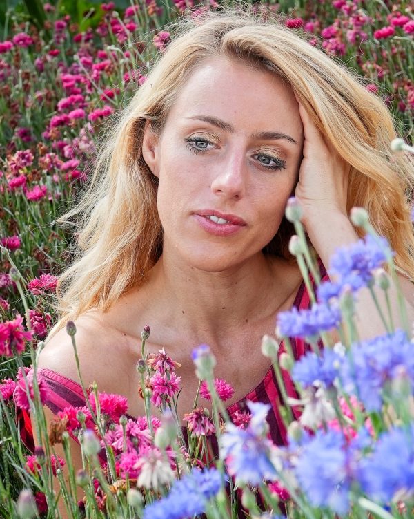 Summer Flowers